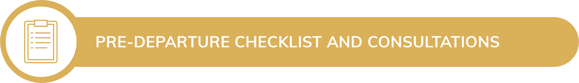 Pre-departure checklist and consultations