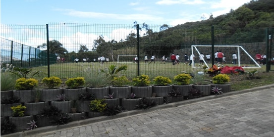 Home Immigrate Mauritius